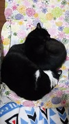 DSC_1914.JPG